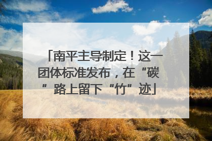 南平主导制定！这一团体标准发布，在“碳”路上留下“竹”迹